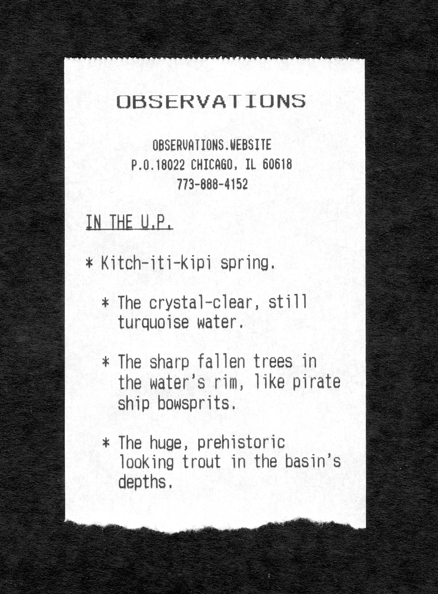 A printed paper receipt featuring excerpts from the Observations blog