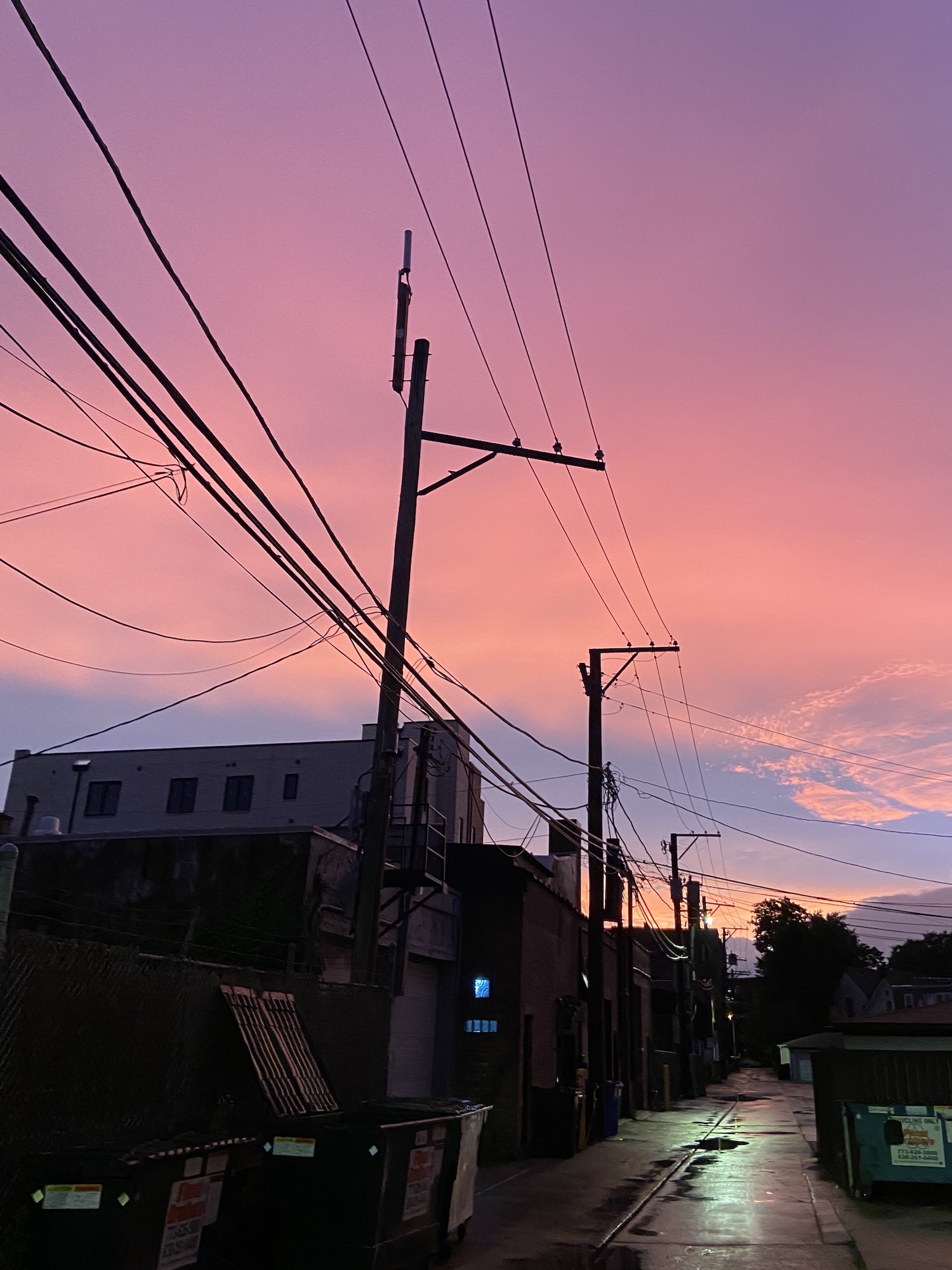 A pink sunset seen in an alley in Chicago in June 2020.
