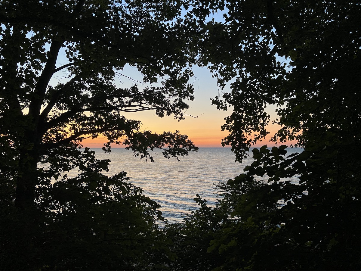 The view of a sunset over Lake Michigan seen through trees.