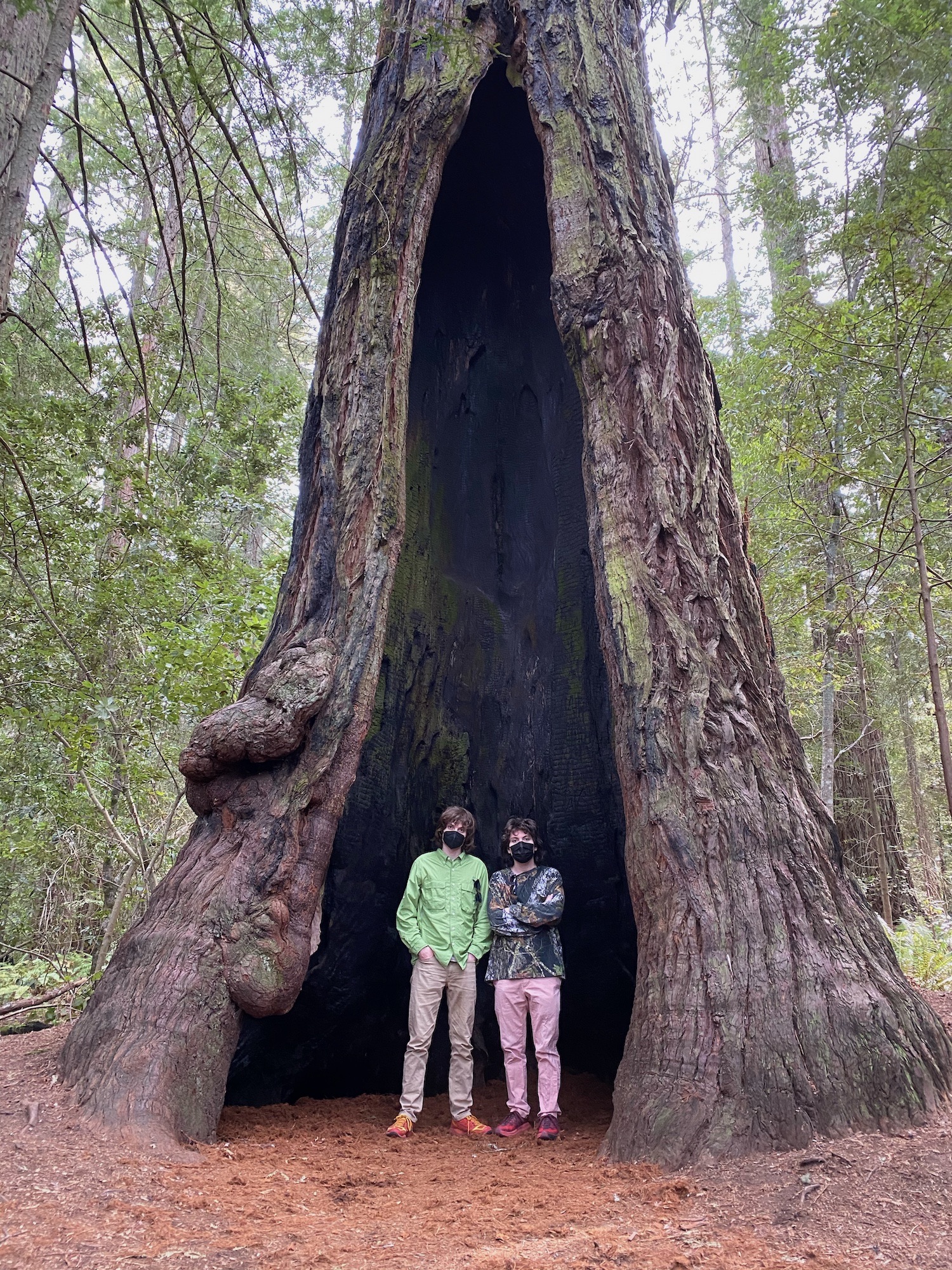 Sammy and me standing inside of a hollow redwood tree.